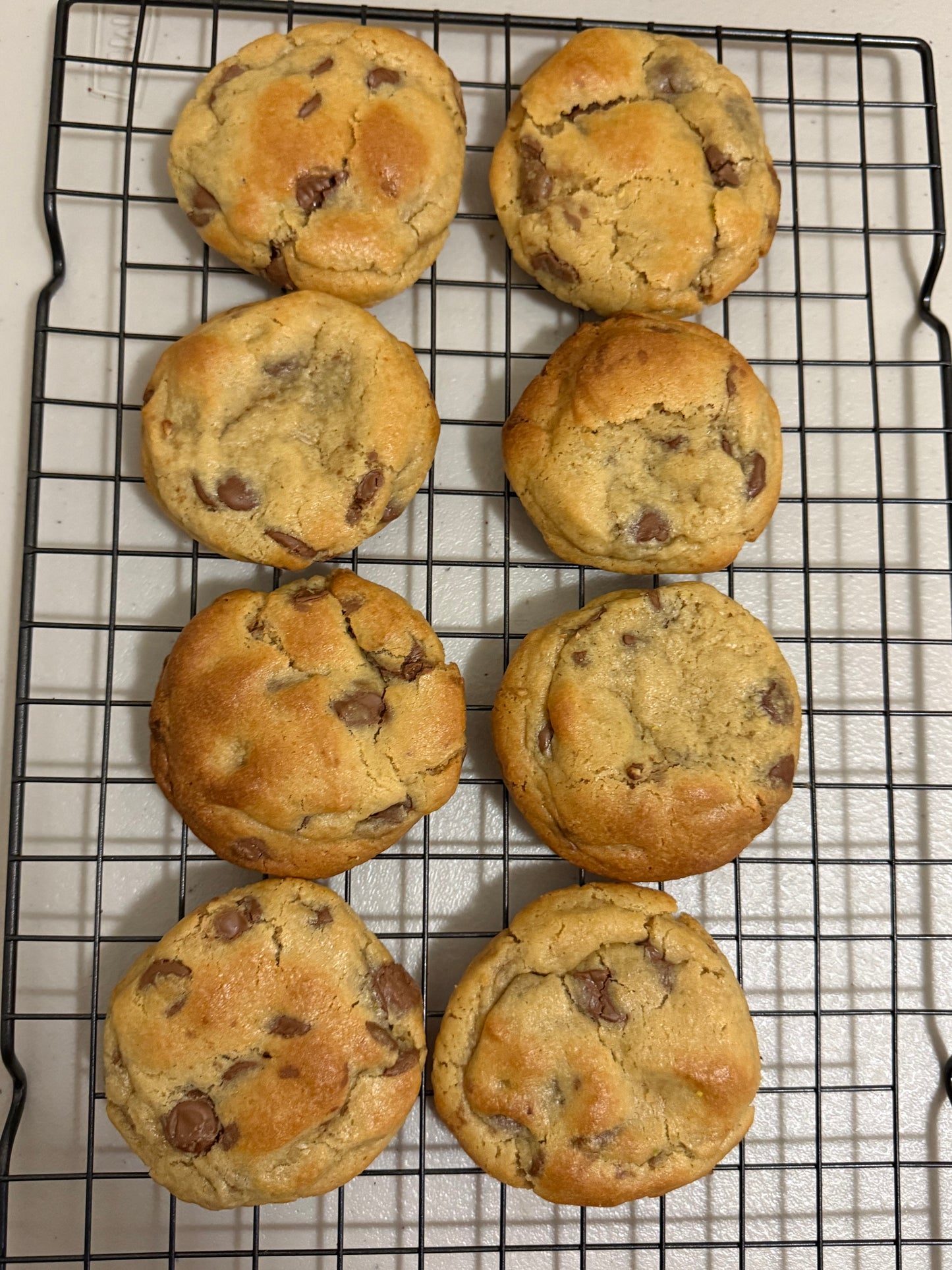 DulciPlus Chocolate Chip Clásica